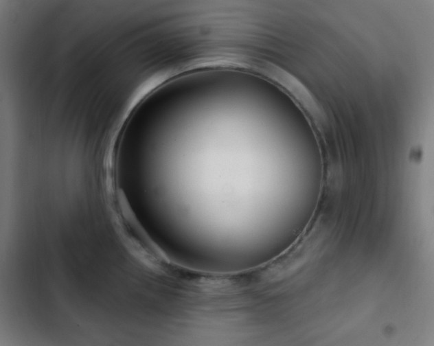 X0000103321242200809051139