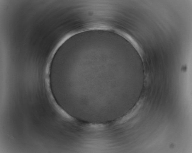 X0000103321243200809051140