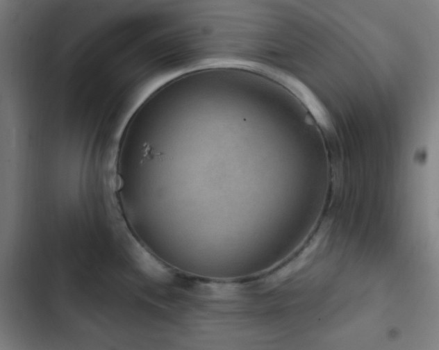 X0000103321244200809051140