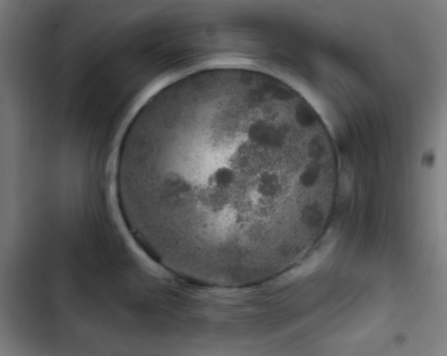 X0000103321245200809051140
