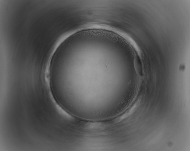 X0000103321247200809051140