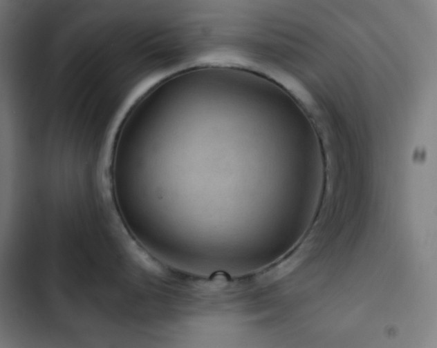 X0000103321248200809051140