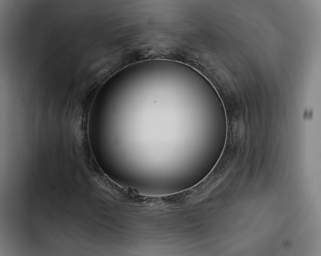 X0000103321250200809051139