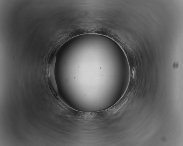 X0000103321251200809051139