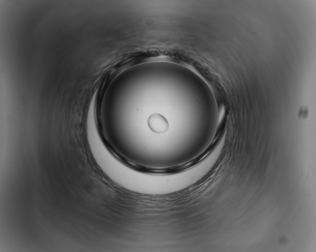 X0000103321252200809051139