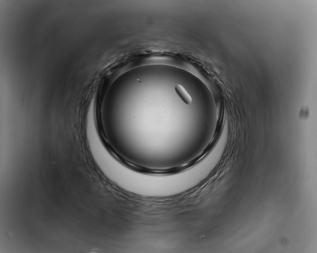 X0000103321253200809051139