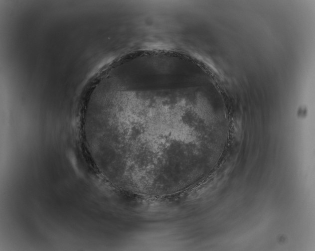 X0000103321254200809051139