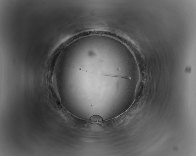 X0000103321255200809051139