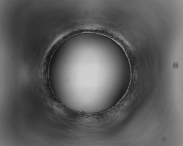 X0000103321256200809051139