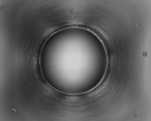 X0000103321257200809051139