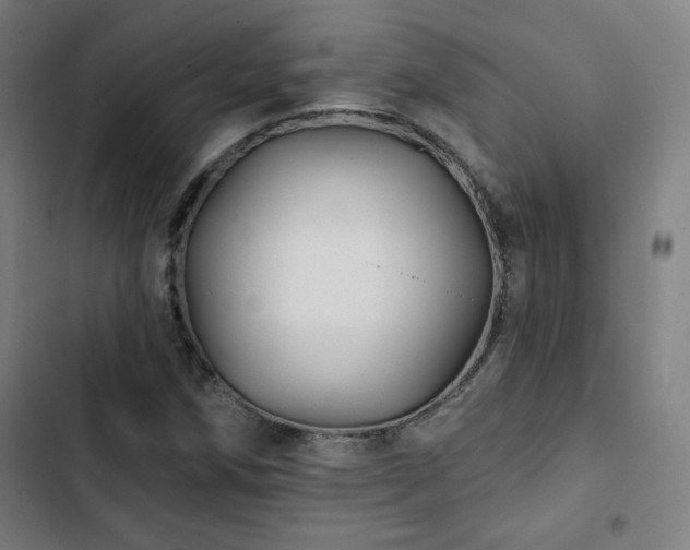 X0000103321258200809051139