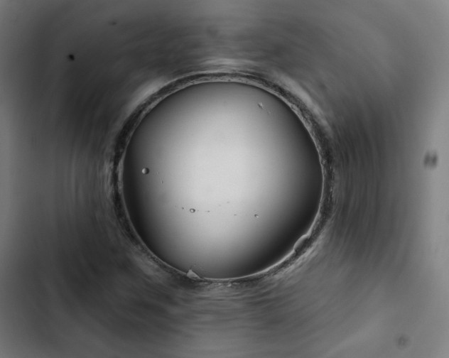 X0000103321259200809051139