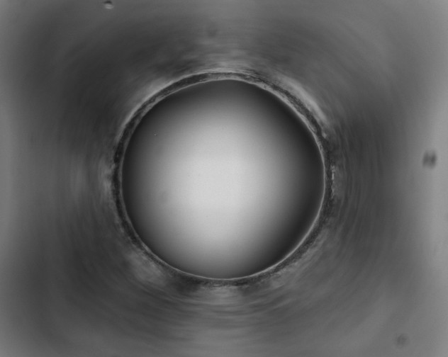 X0000103321260200809051139
