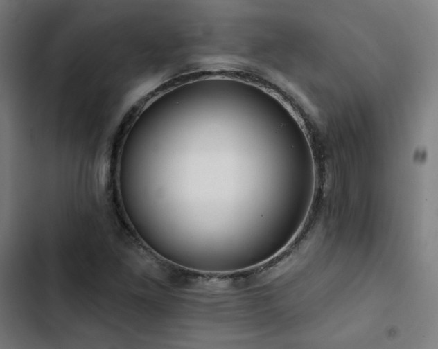X0000103321261200809051139