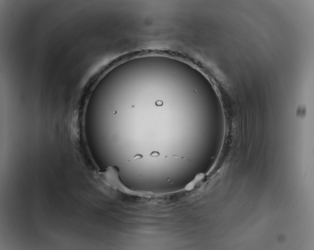 X0000103321262200809051139