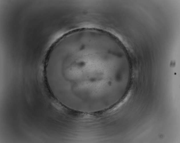 X0000103321263200809051139