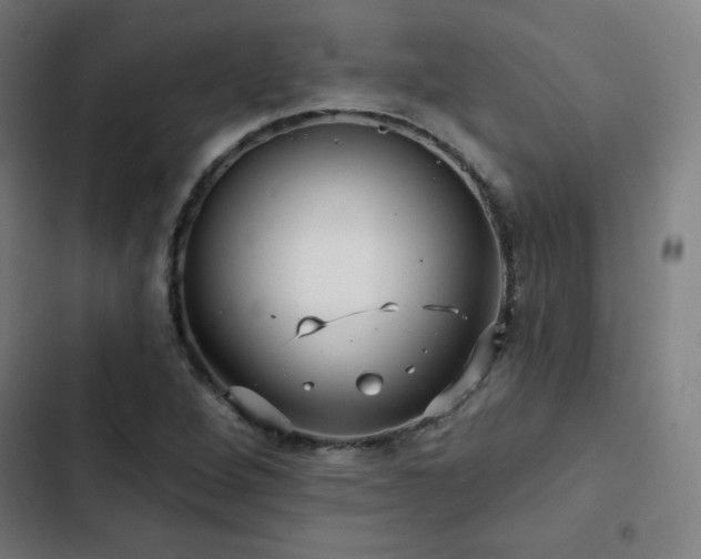 X0000103321264200809051139