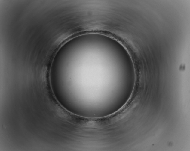 X0000103321265200809051139