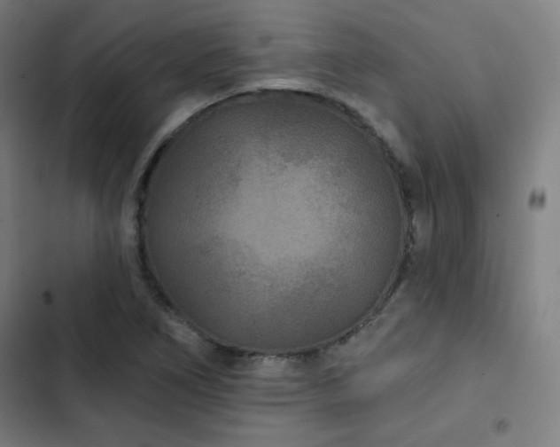 X0000103321266200809051139