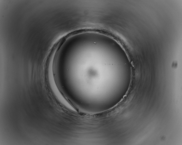 X0000103321267200809051138