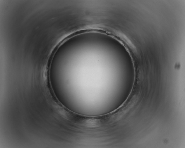 X0000103321268200809051138