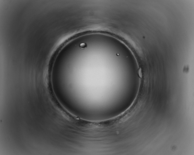 X0000103321270200809051138