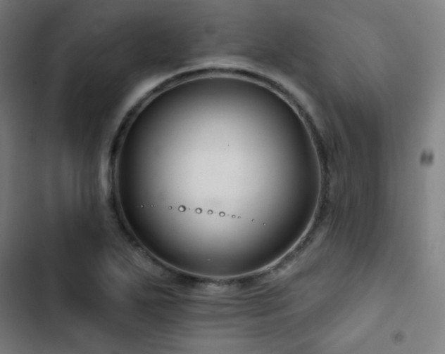 X0000103321271200809051138