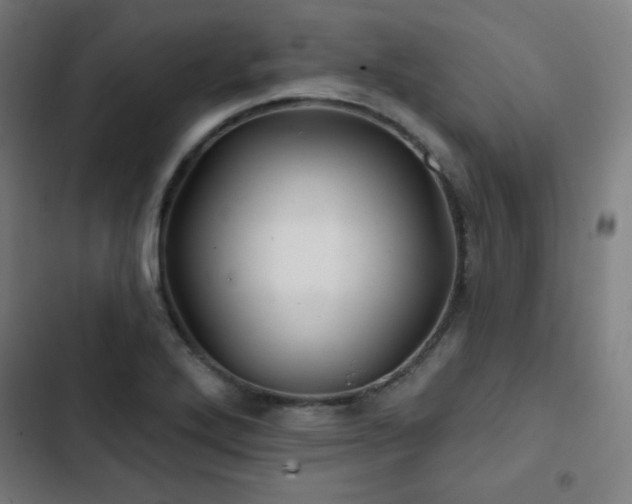 X0000103321272200809051138