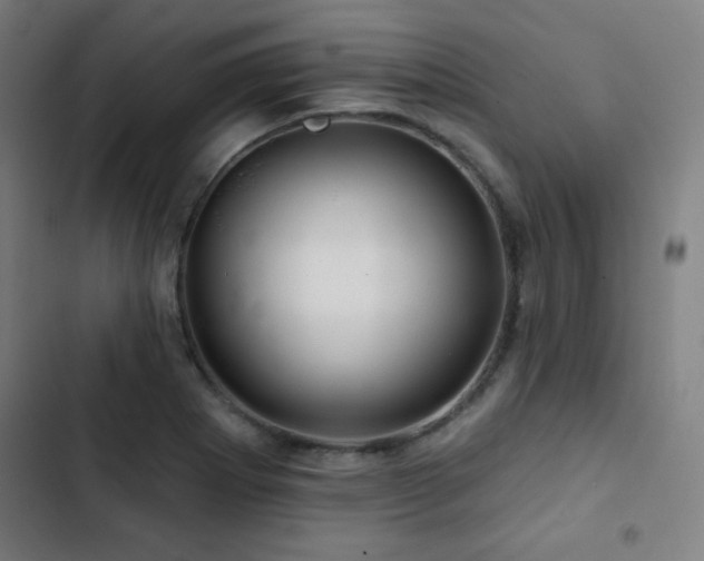 X0000103321273200809051138