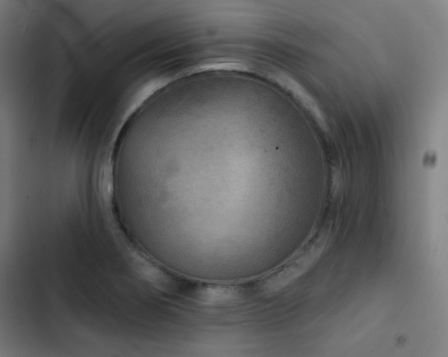 X0000103321274200809051138