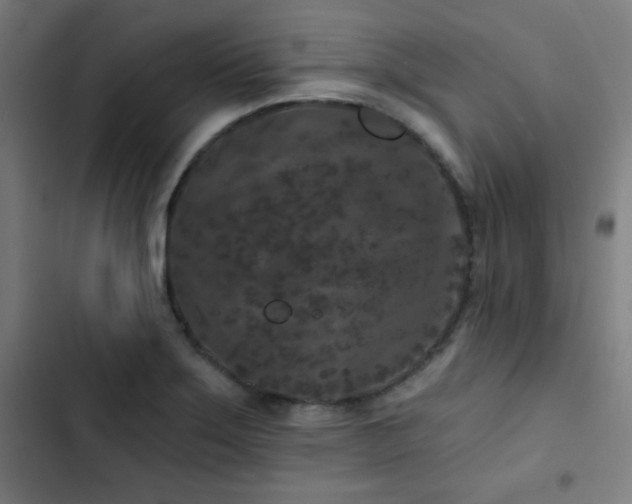 X0000103321275200809051138