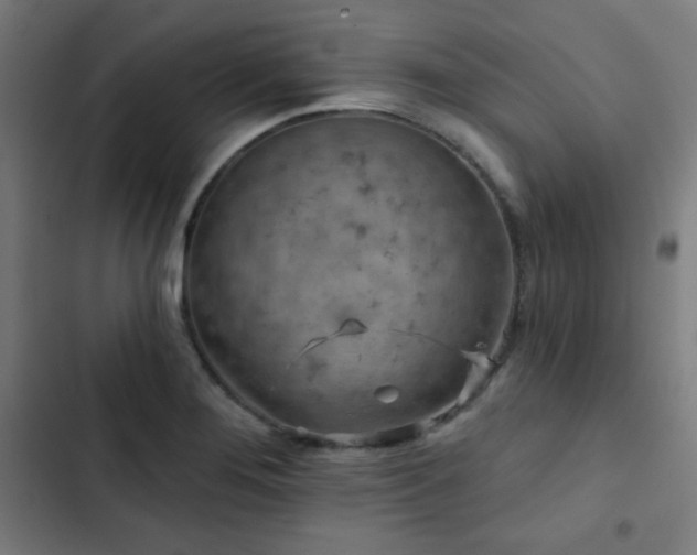 X0000103321276200809051138
