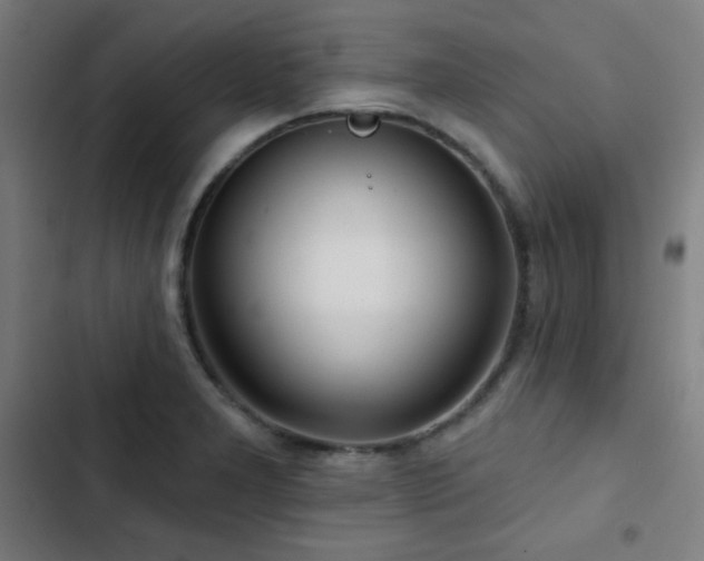 X0000103321277200809051138