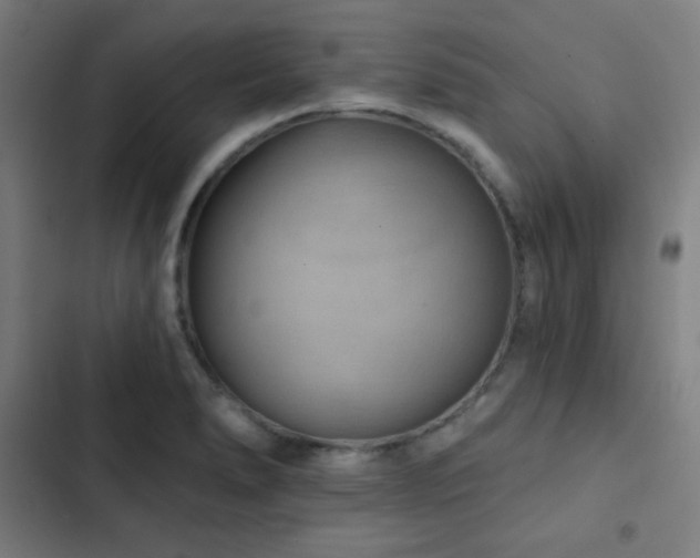 X0000103321278200809051138