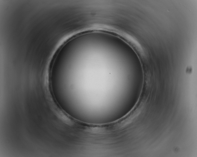 X0000103321280200809051138