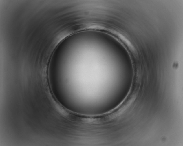 X0000103321281200809051138
