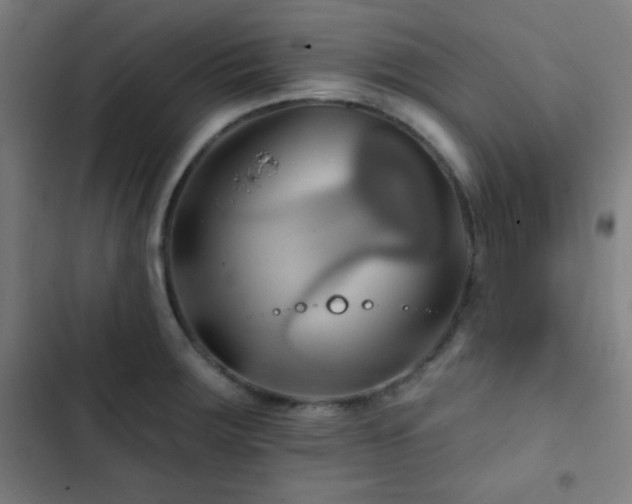 X0000103321283200809051138