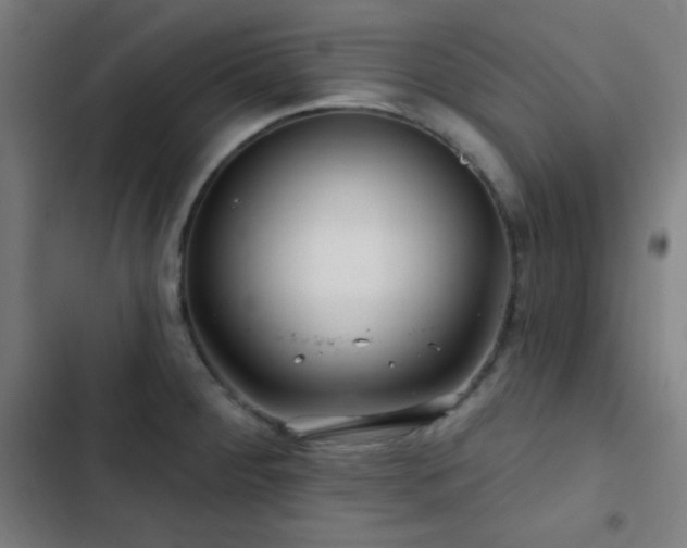 X0000103321284200809051138