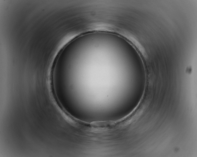 X0000103321285200809051138