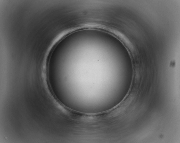X0000103321286200809051138