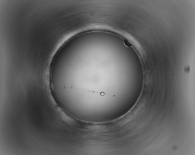 X0000103321287200809051138