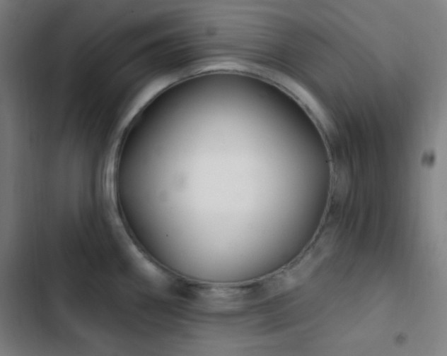 X0000103321290200809051138