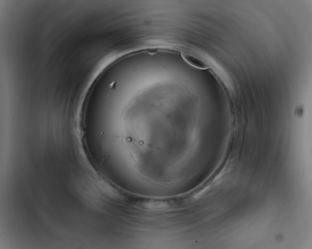 X0000103321291200809051138