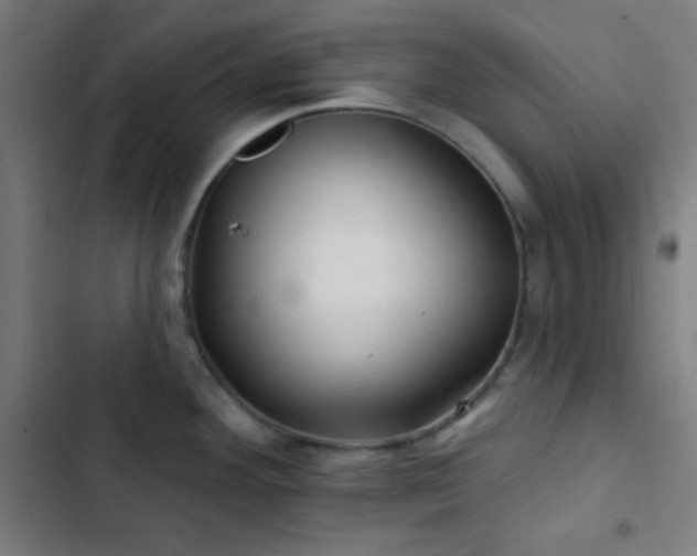X0000103321292200809051138
