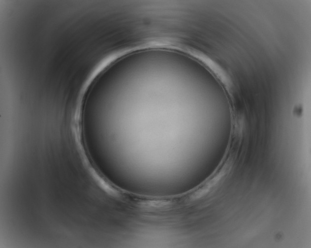X0000103321294200809051138