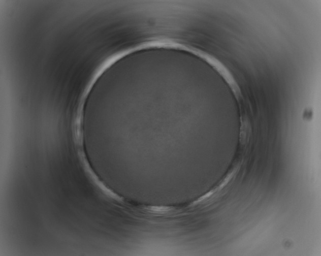 X0000103321295200809051138