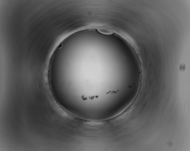 X0000103321296200809051138