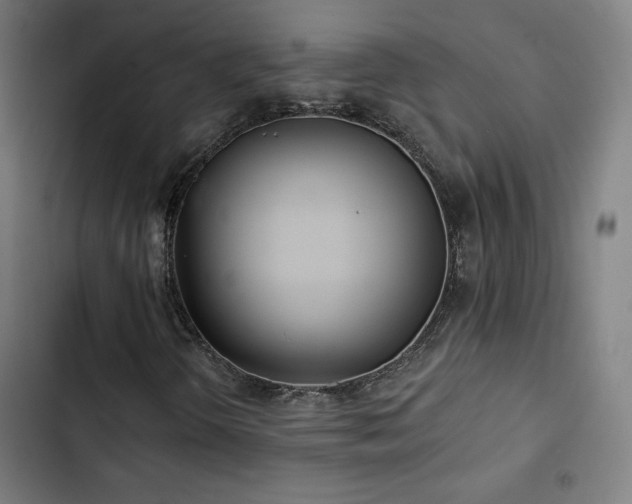 X0000103321298200809051137