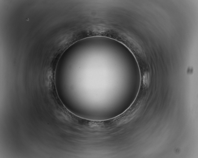 X0000103321299200809051137