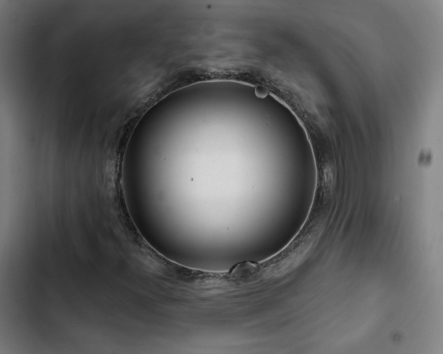 X0000103321300200809051137